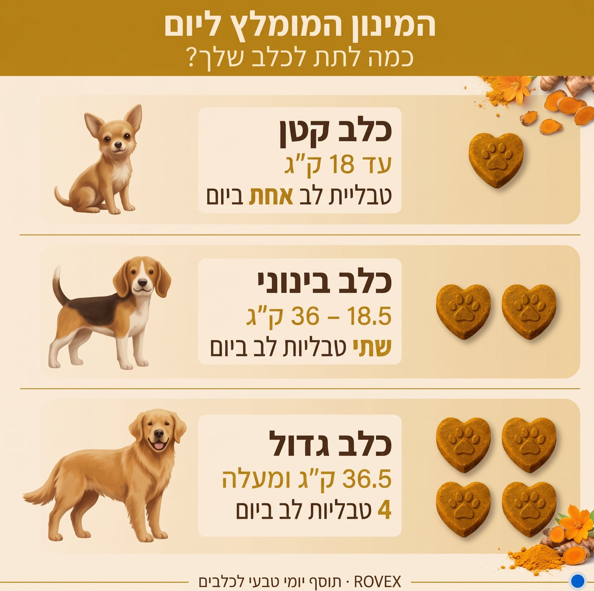 תוסף תזונה למפרקים של ROVEXrovex
