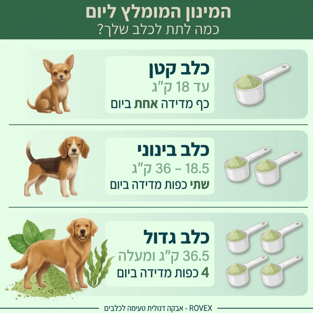 האבקה הדנטלית של ROVEXrovex