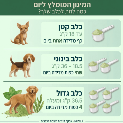 האבקה הדנטלית של ROVEXrovex